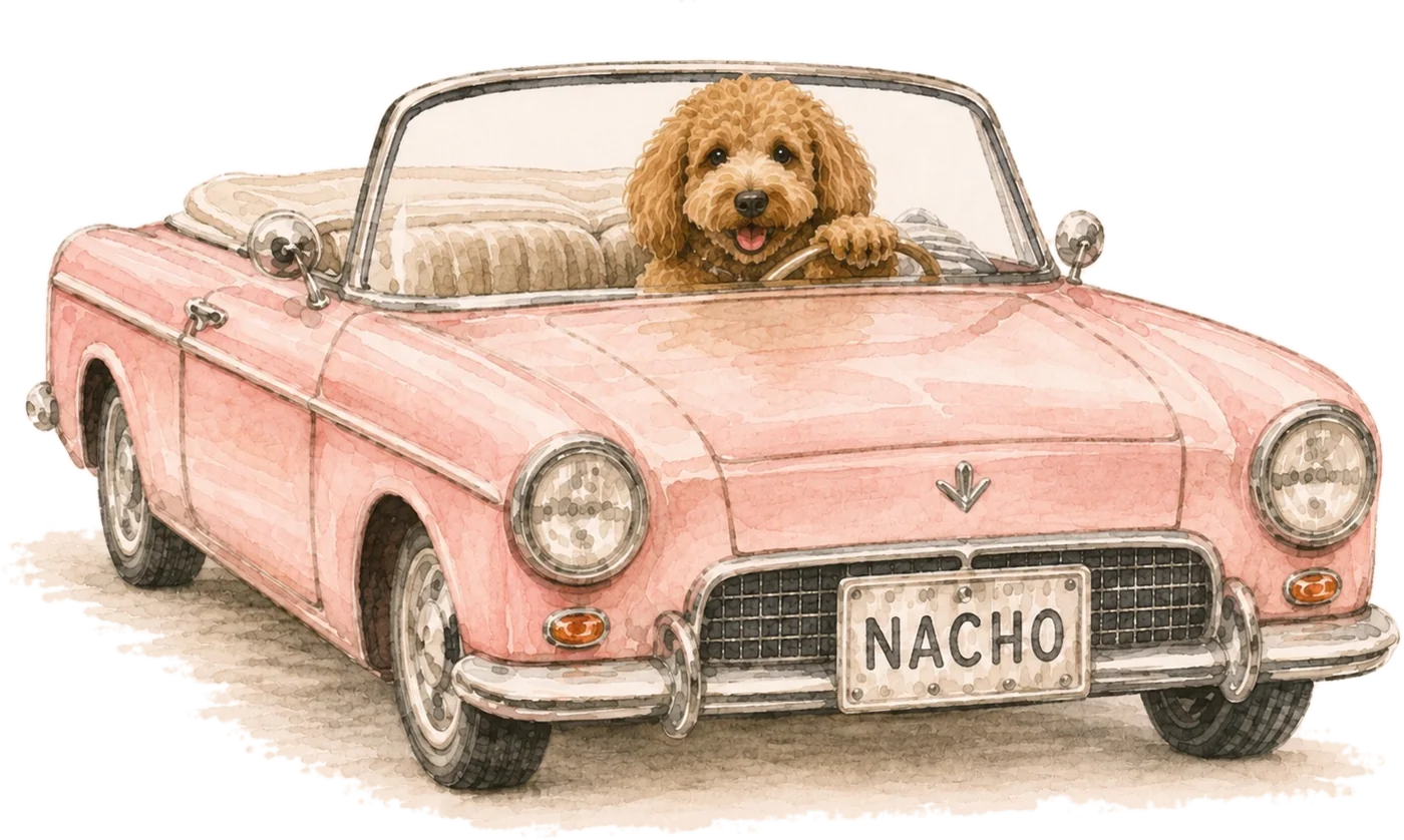Nacho, ready for Palm Beach